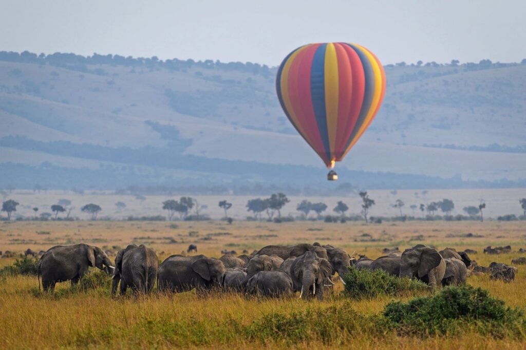 7 Days Luxury Honeymoon Fly-in Safari